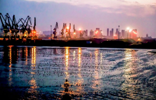 集装箱港区5年完成搬迁，港口资源开启整合，这个港口将冲击世界十大港
